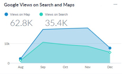 Google Views on Search and Maps