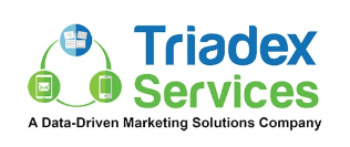 Triadex Services Data Driven Logo