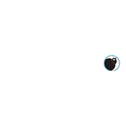 The Black Sheep